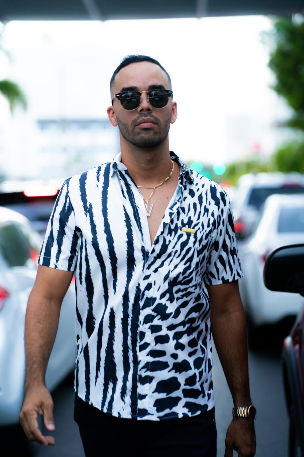 SAFARI